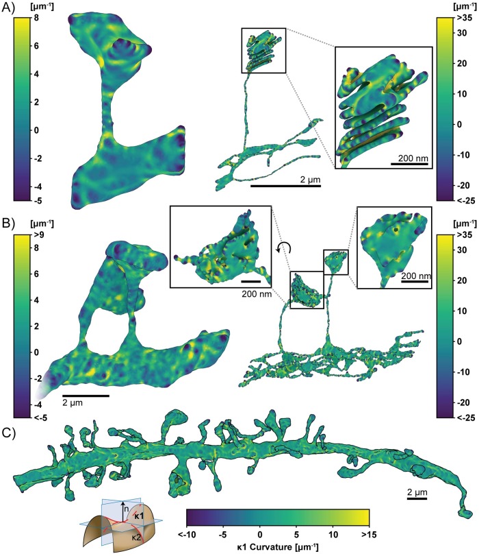 Fig 8