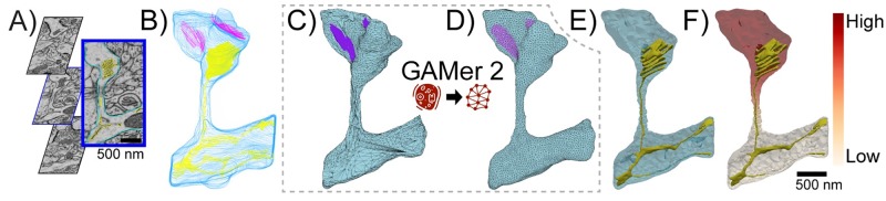 Fig 1