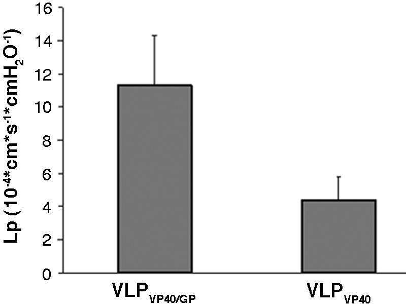 FIG. 5.