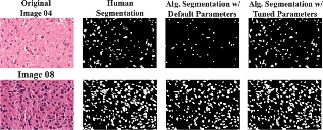 Fig. 3.