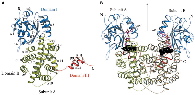 Fig. 3