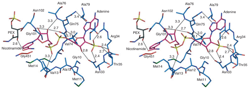 Fig. 4