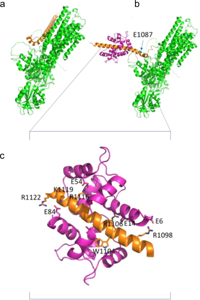 Fig. 6