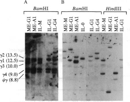 graphic file with name pnas00356-0268-a.jpg