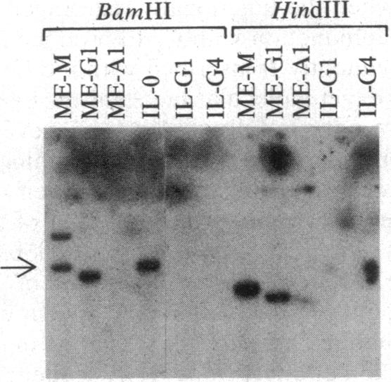 graphic file with name pnas00356-0267-a.jpg