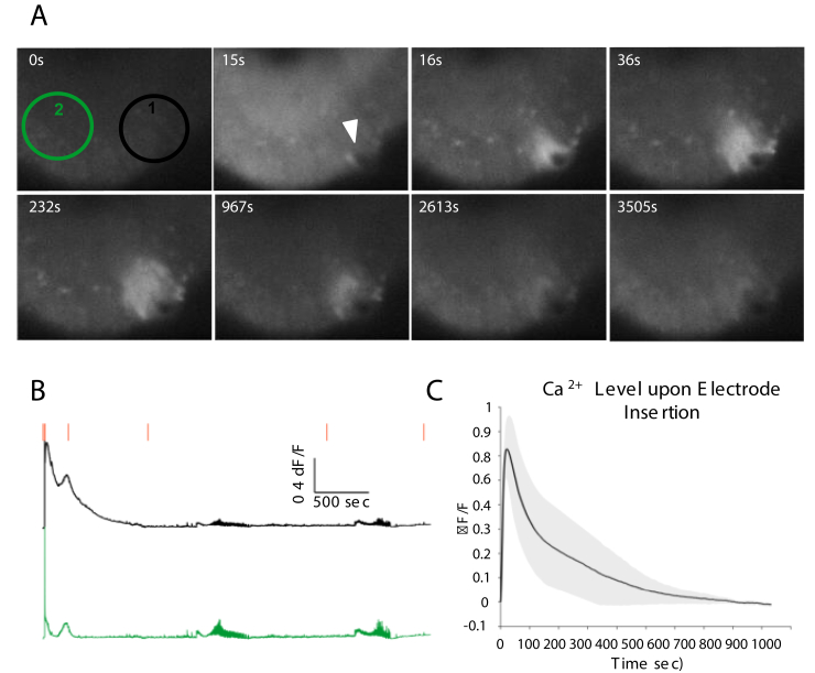 Figure 3