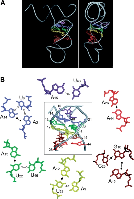 Figure 5.