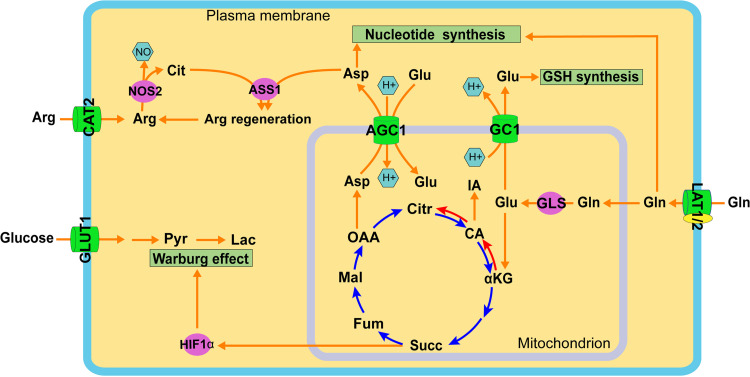 FIG 5