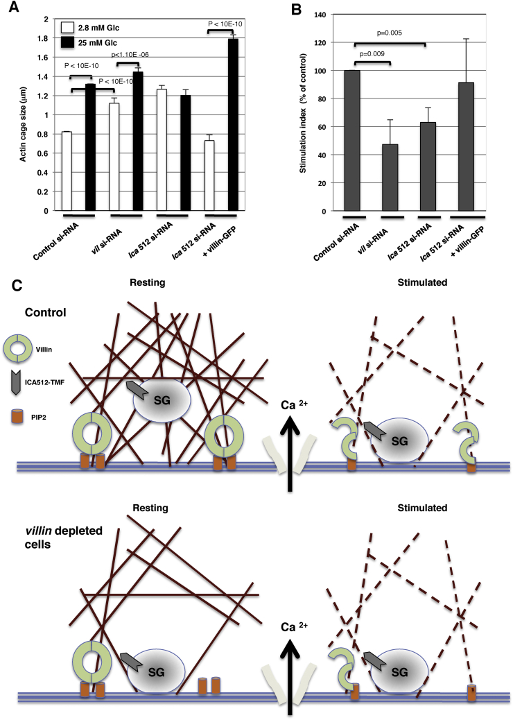 Figure 6