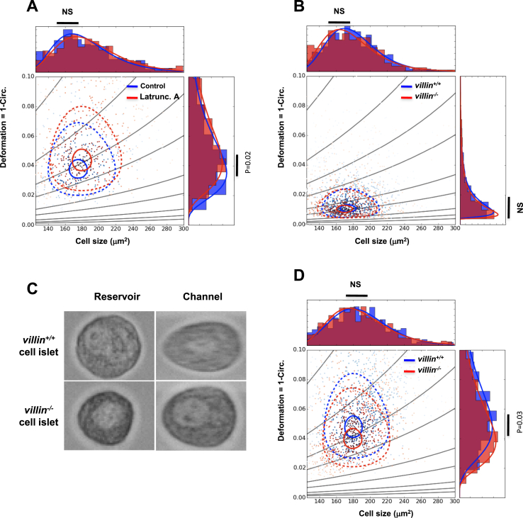 Figure 3