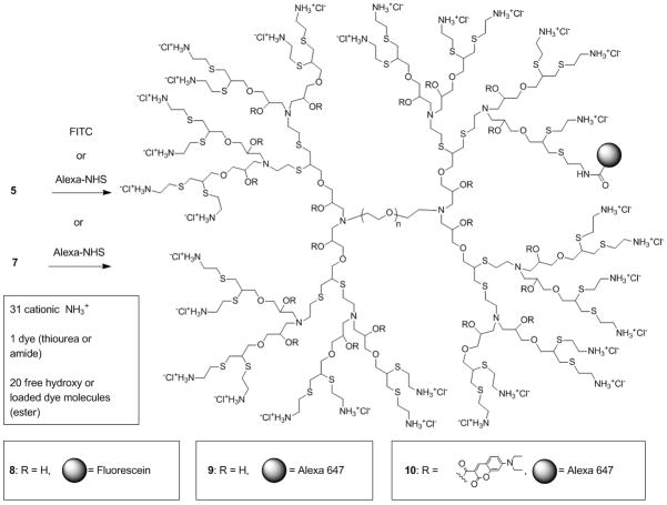 Scheme 2