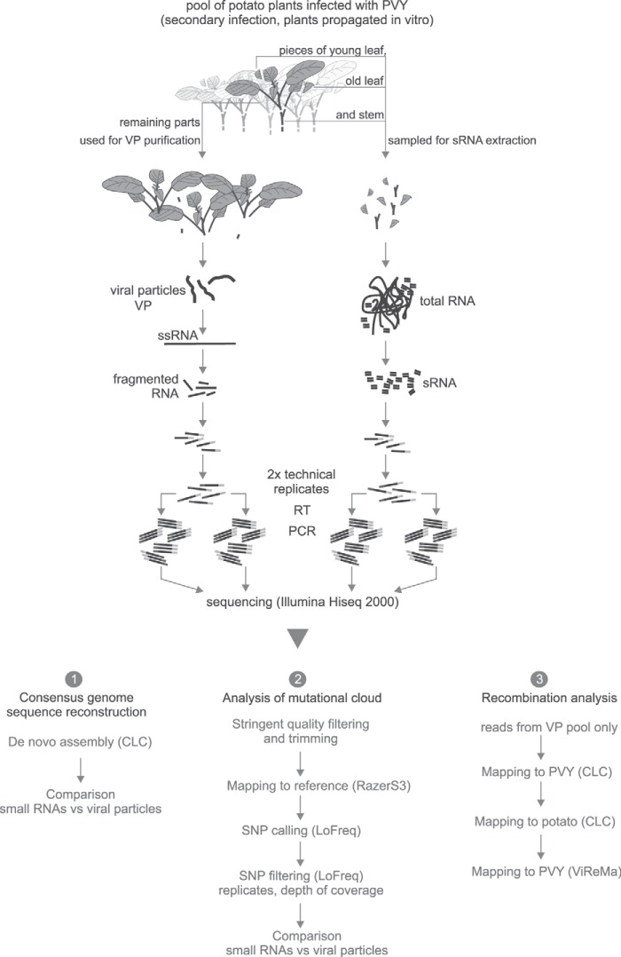 FIG 1