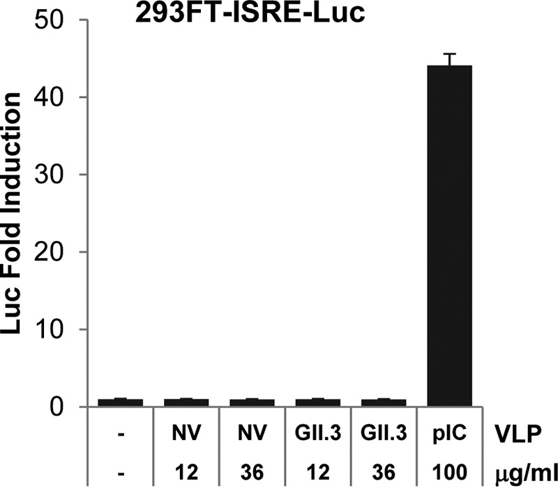 FIG 6