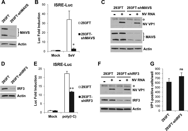 FIG 9