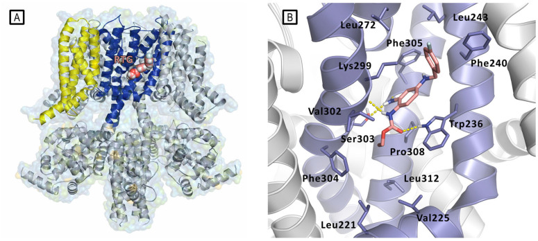 Figure 9