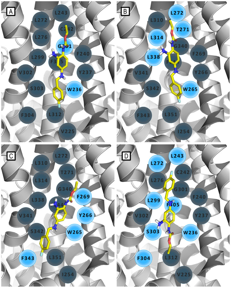 Figure 6