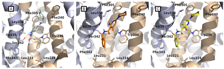 Figure 21