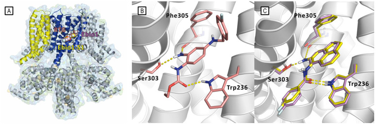 Figure 23