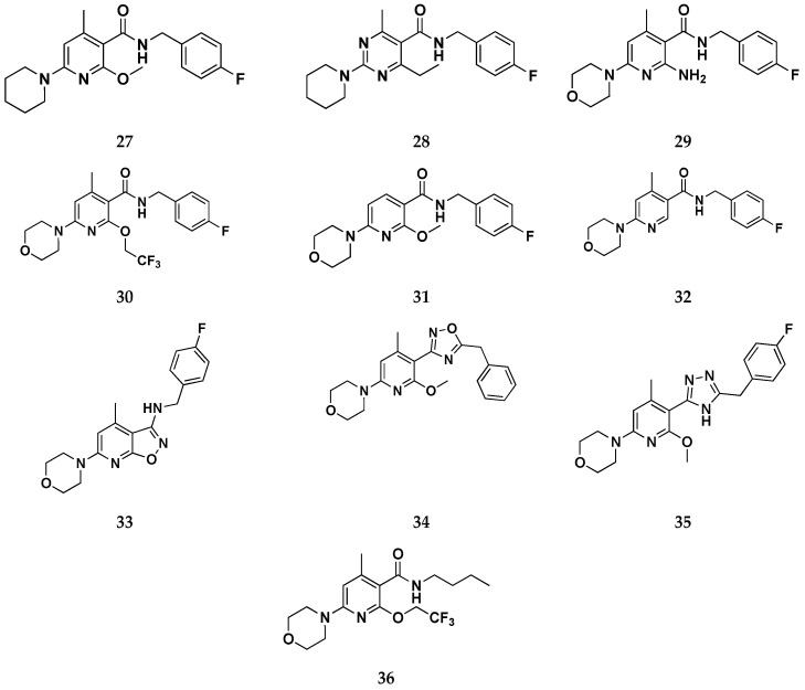 Figure 20