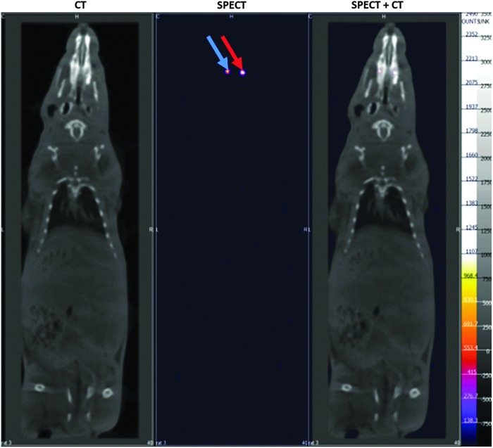 FIG. 6.