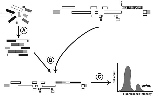 FIG. 2.