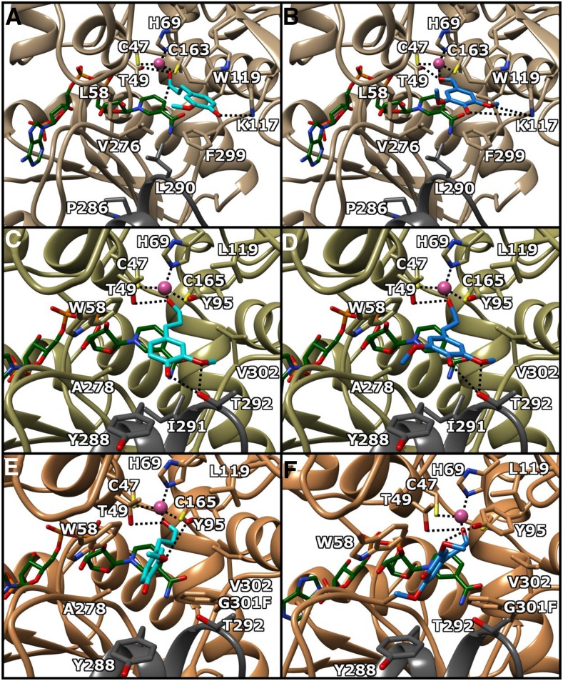 Figure 3.