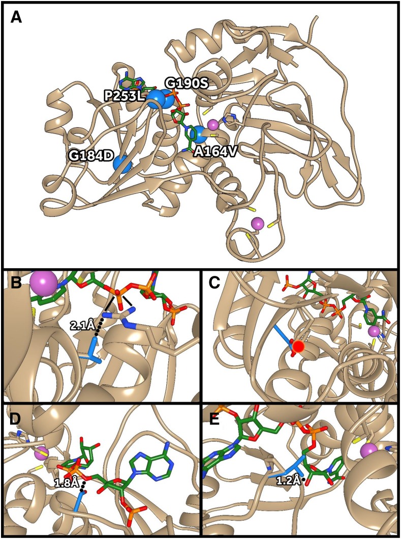 Figure 9.