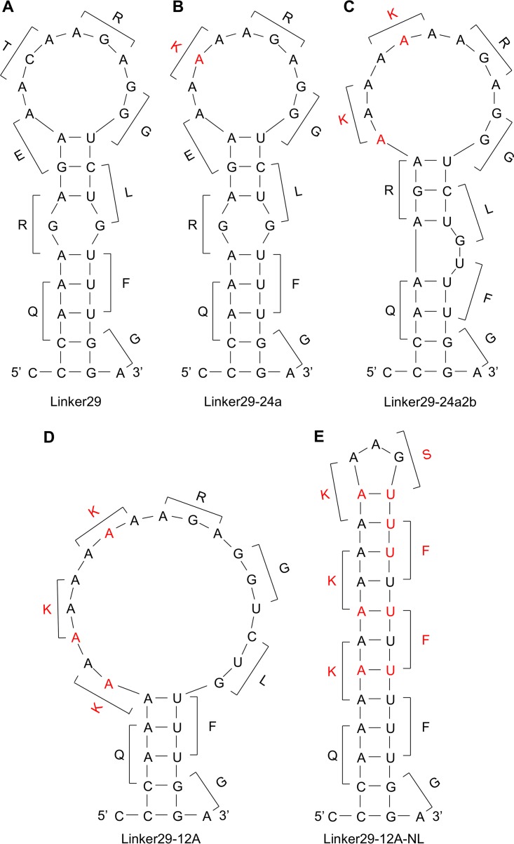 FIG 3 