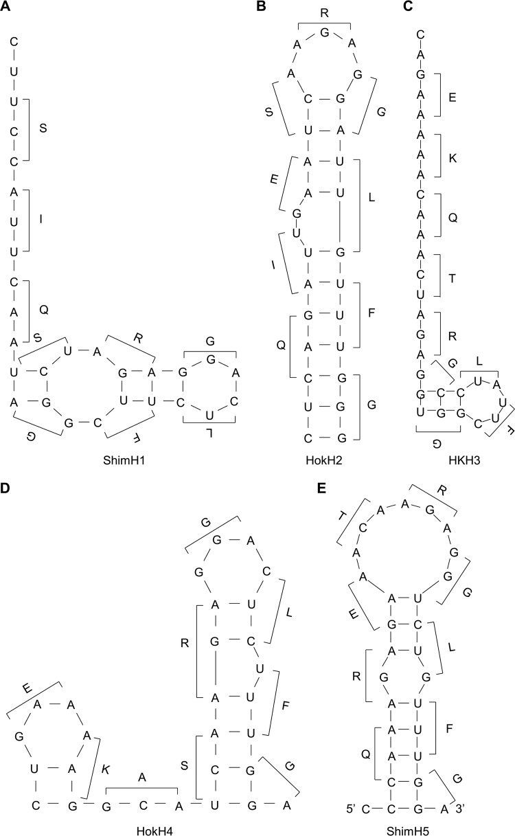 FIG 5 