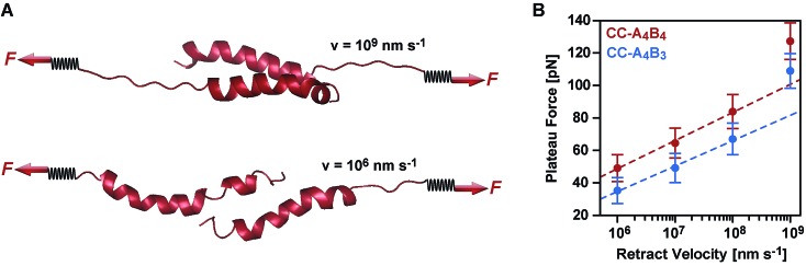 Fig. 6