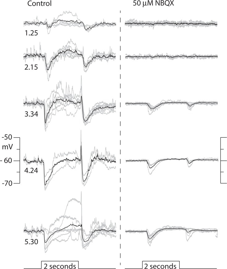 Fig 4