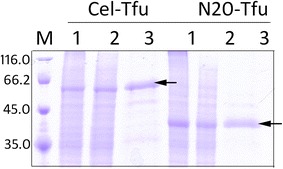 Fig. 2