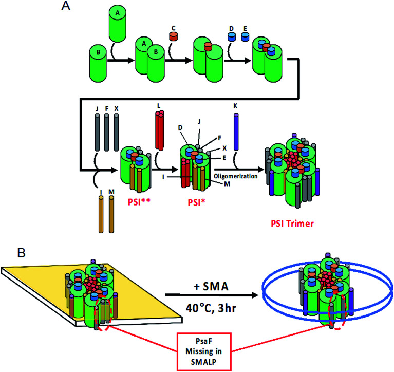 Fig. 10