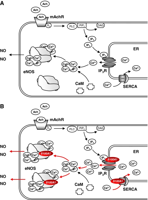 Fig. 4