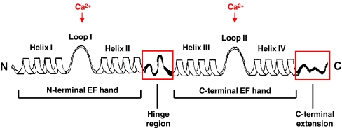 Fig. 1