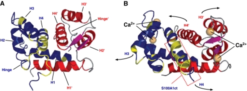 Fig. 2