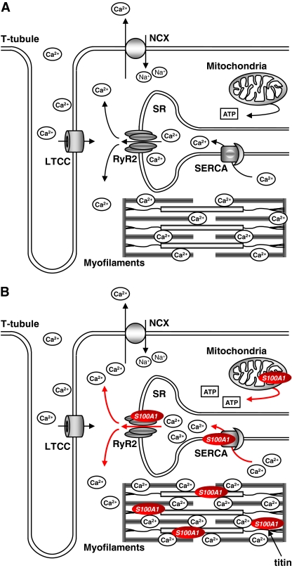 Fig. 3