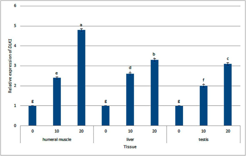 Figure 1