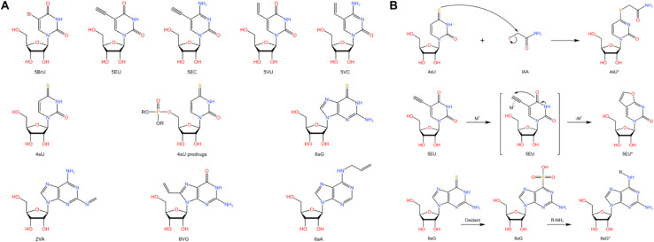 Fig. 6