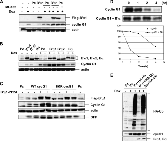 FIG. 8.