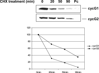 FIG. 1.