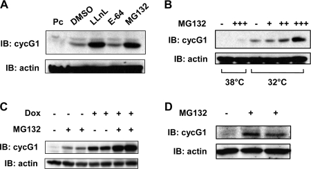 FIG. 2.