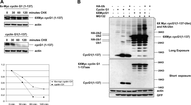 FIG. 6.