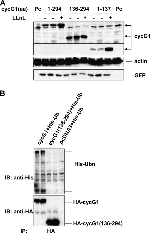 FIG. 4.