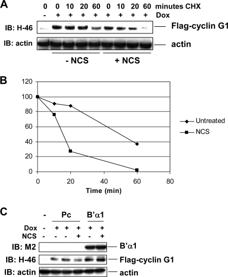 FIG. 9.