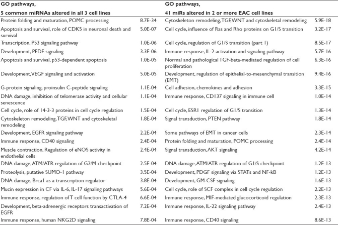 graphic file with name JC-10-34-g003.jpg