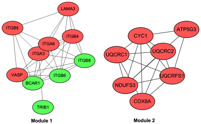 Figure 2.