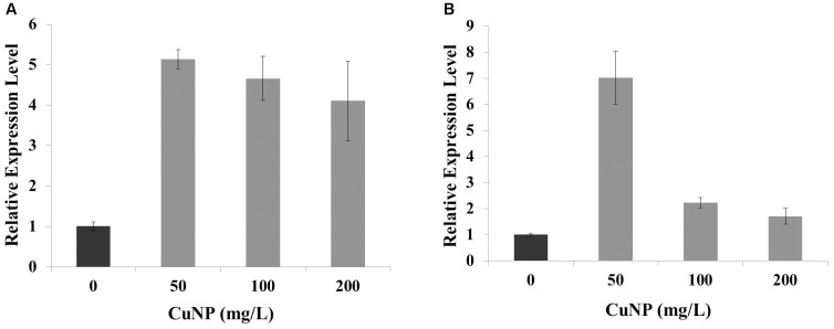 FIGURE 10