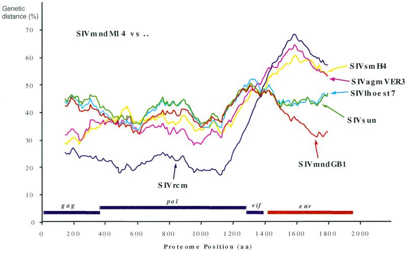 FIG. 3