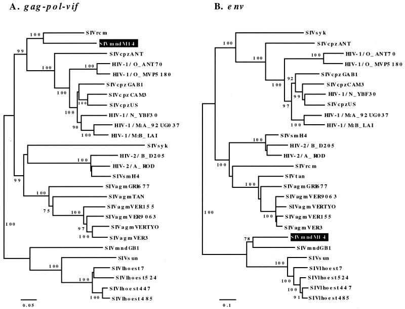 FIG. 4